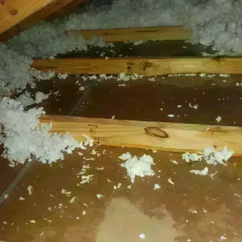 Attic Water Damage in Lynchburg, VA