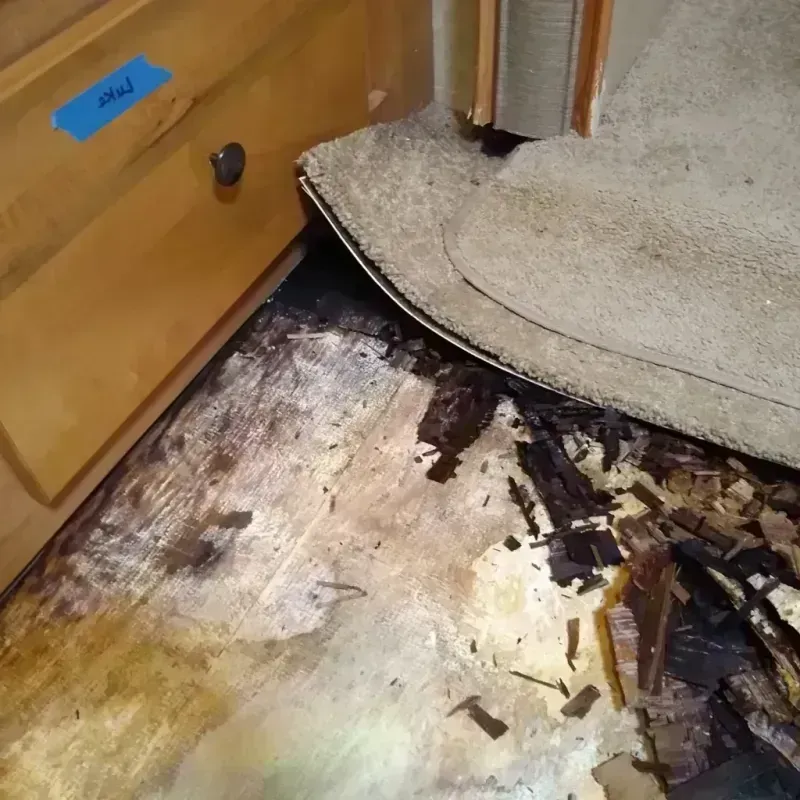 Wood Floor Water Damage in Lynchburg, VA